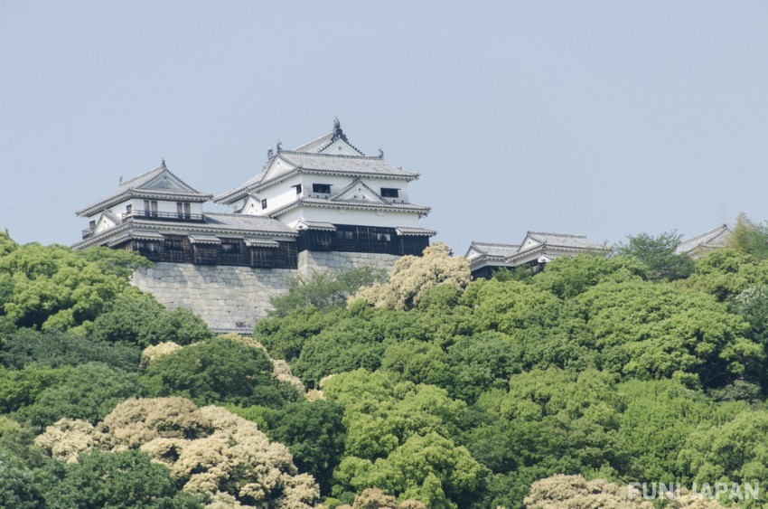 3 Hidden Spots We Want to Capture on Film at Matsuyama Castle in Japan 